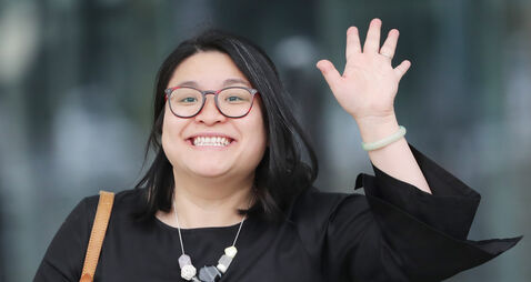 Irish Government formation