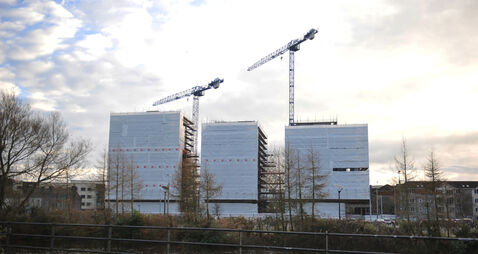 UCC students commuting before dawn as housing crisis fuels daily parking battle