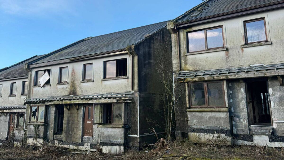 Mr McGrath hit out at the demolition of nearly completed homes in the midst of a housing crisis.