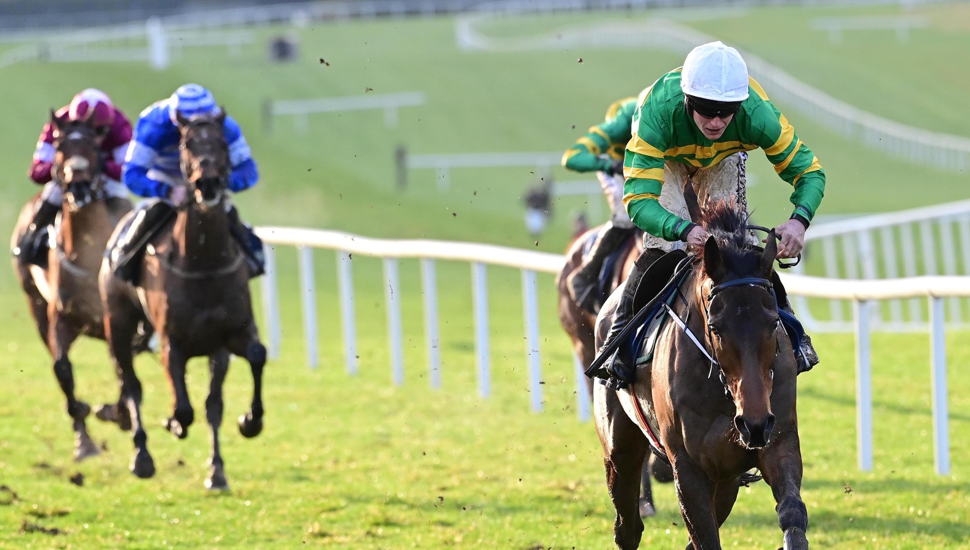 'This horse is class': Oscars Brother lands first win in McManus colours
