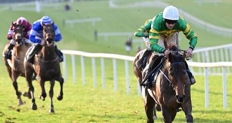 'This horse is class': Oscars Brother lands first win in McManus colours