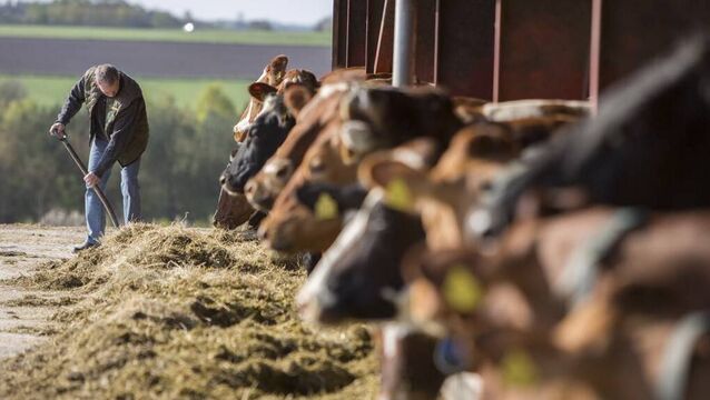 <p>Bovaer, the firm's methane-inhibiting ruminant feed additive, have been excluded from the deal and will remain within dsm-firmenich.</p>