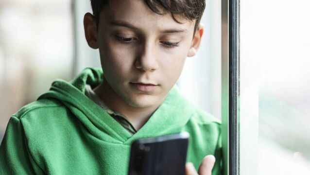 <p>While researchers debate the scale of harm, the evidence that children are being harmed is undeniable. File photo</p>