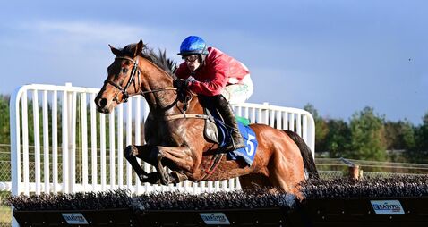 Local Lenjoleur De Palma should have the inside track