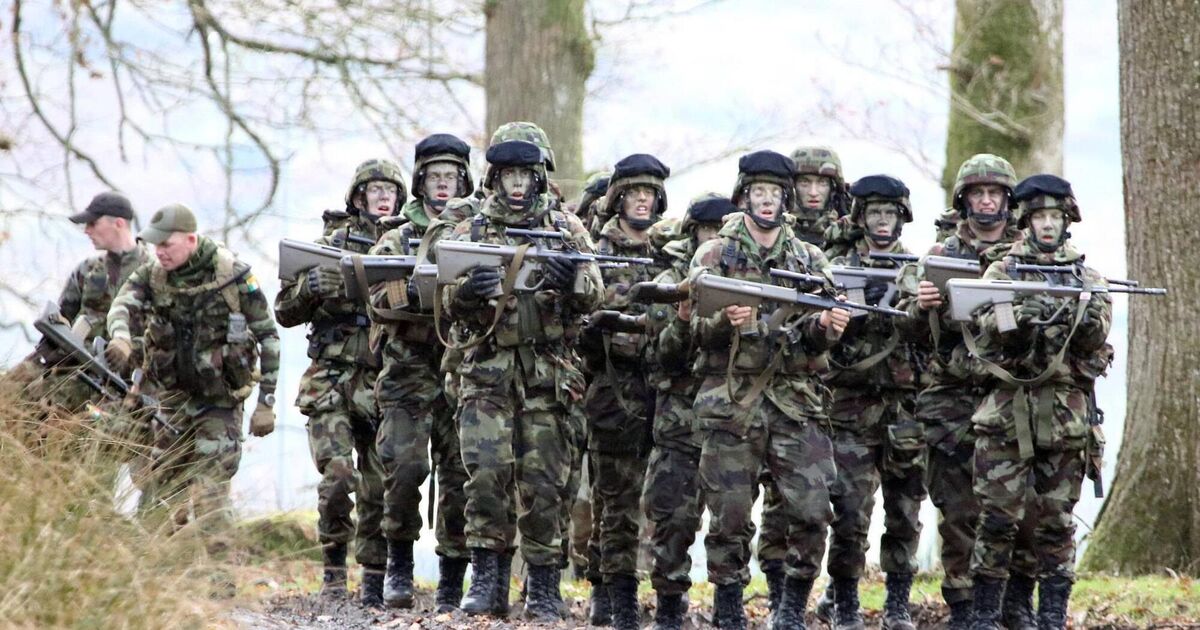 Minister to look at European ruling on public holiday allowances and overtime for Defence Forces