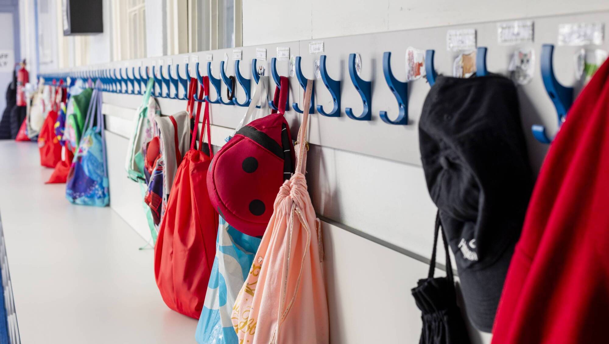 Kerry schools face reduction in special needs assistants