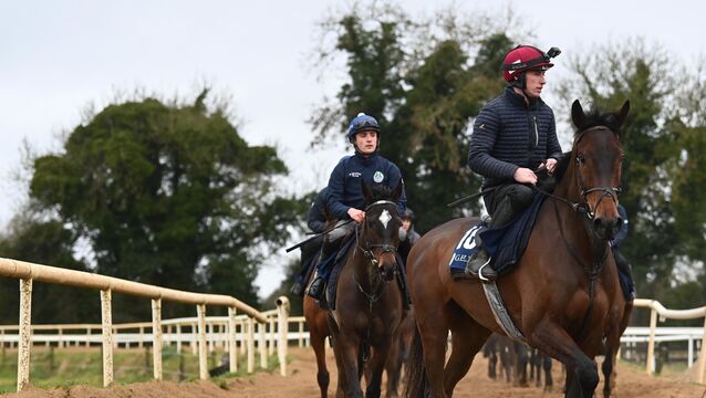 <p>Romeo Coolio and Jack Kennedy during morning exercise at Gordon Elliott's Cullentra House Stables on Tuesday. Pic: Healy Racing</p>
