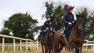 <p>Romeo Coolio and Jack Kennedy during morning exercise at Gordon Elliott's Cullentra House Stables on Tuesday. Pic: Healy Racing</p>