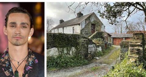 Robert Sheehan joins Mescal and Ronan in West Cork 'Craic Pack' as he seeks planning for farmhouse extension
