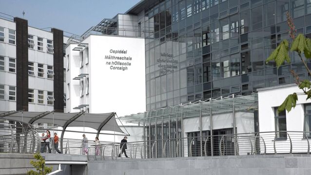<p>Cork University Maternity Hospital (pictured) and the National Maternity Hospital offer mesh complication services. File photo</p>