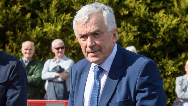 <p>Michael O'Flynn: 'I have no vendetta or wish to have a personal dispute with Mr O’Driscoll.' File picture: Dan Linehan</p>