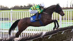 <p>Saveforarainyday &amp; Mark Walsh win the Limerick Mares Maiden Hurdle. Pic: HEALY RACING.</p>