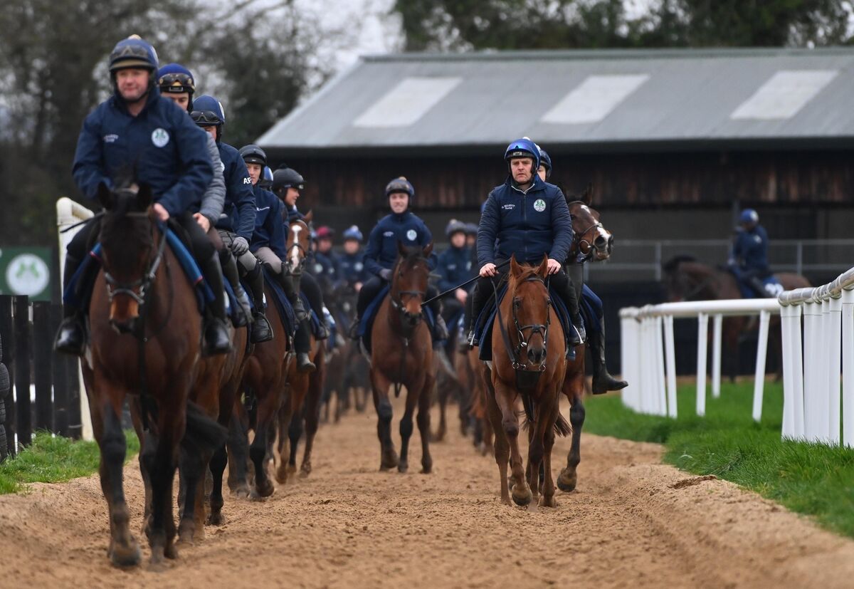 El Cairos and Bobby McNally (right) walk behind Brighterdaysahead and Shane McCann after morning exercise at Cullentra House. Pic: Healy Racing