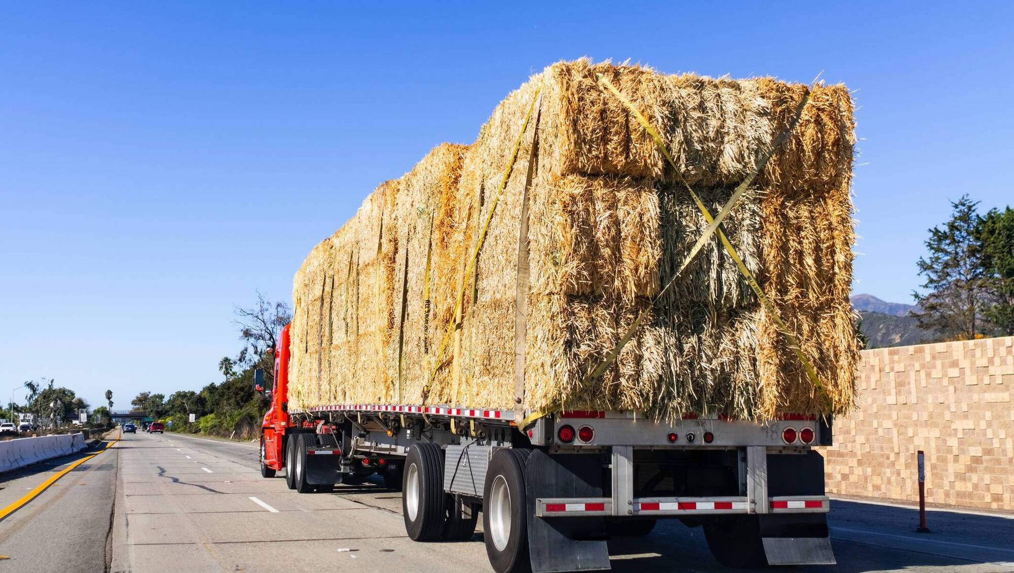No legal basis to ban straw imports, says Agriculture Minister