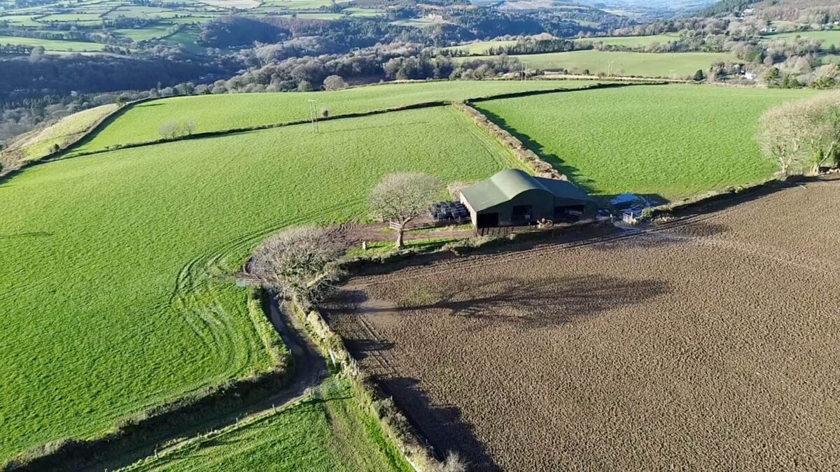 Outbuildings include a three-span shed with a lean-to structure, as well as an adjoining yard.
