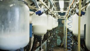 <p>The milk prices farmers currently receive are now below the cost of production. File photo</p>