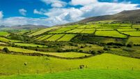 Rural Landscape With Pastures In Ireland