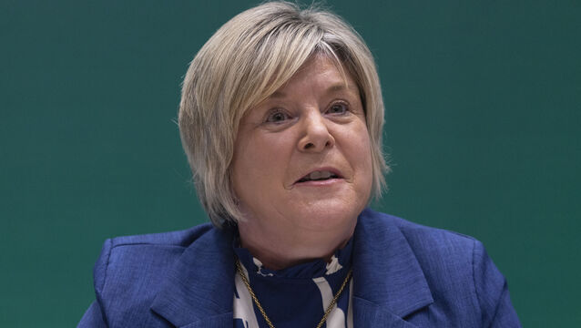 <p>Minister of state Mary Butler: 'I will publish it as soon as possible, which I’m saying is within the next two weeks.' File photo: Sam Boal/Collins Photos</p>