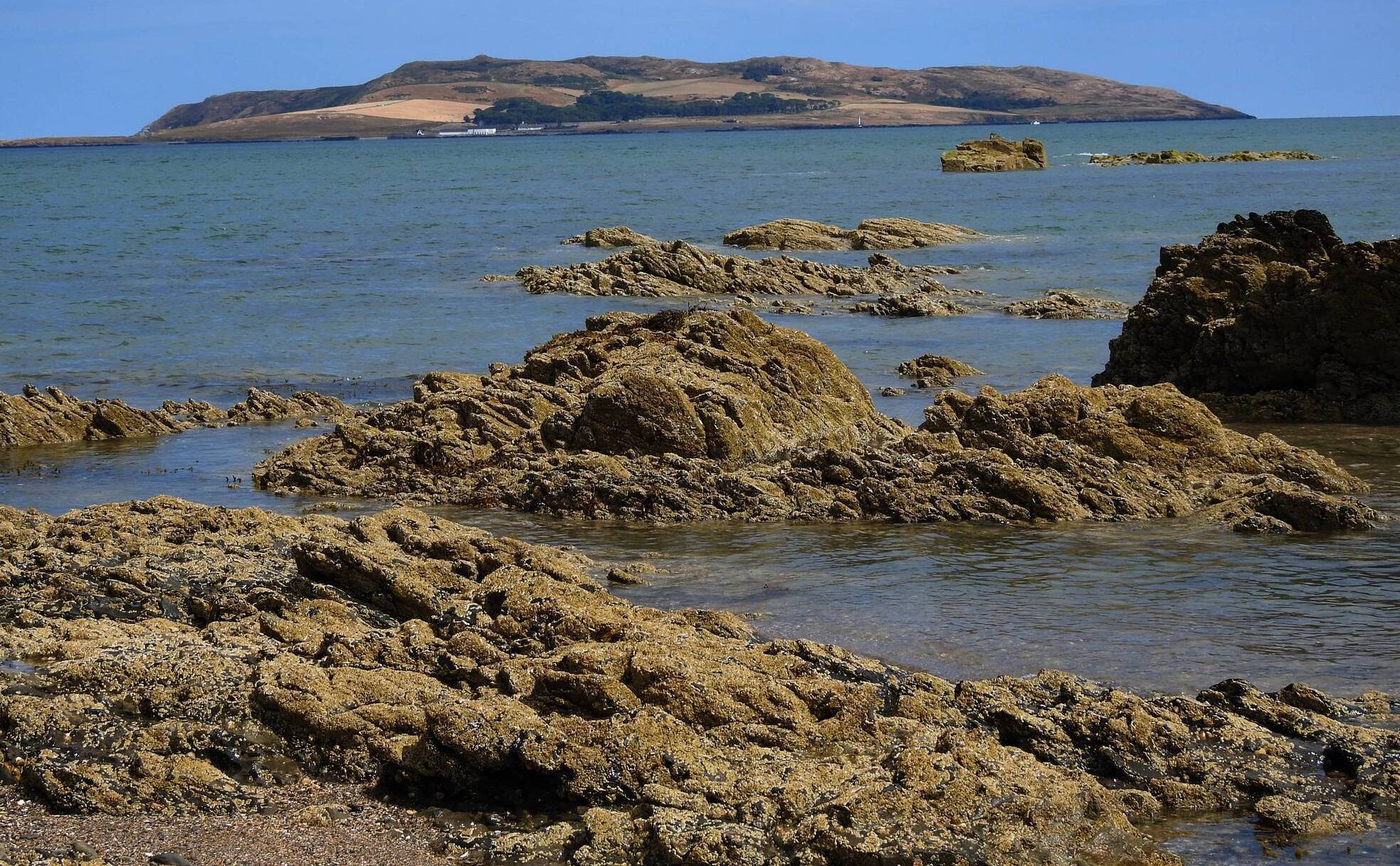 Pest project planned for Lambay (Island)