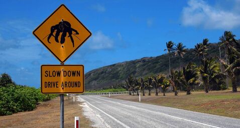 Crabs on the road traffic sign - Christmas Island