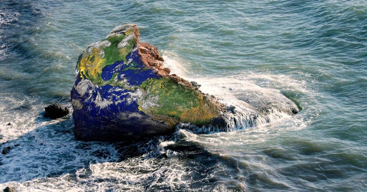 P&aacute;draic Fogarty: Ecosystem collapse is real and is happening here now