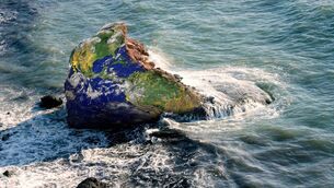 <p> The International Union for the Conservation of Nature says that “an ecosystem is collapsed when it is virtually certain that its defining biotic [living] or abiotic [non-living] features are lost from all occurrences, and the characteristic native biota are no longer sustained”.</p>