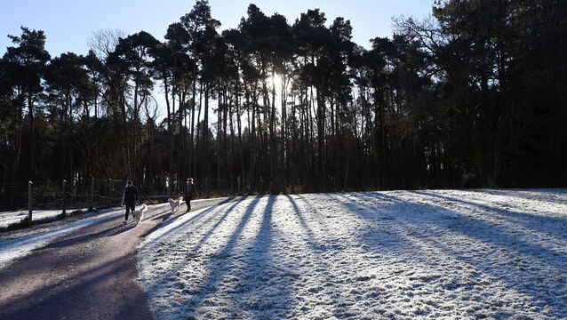 <p>Frank Dargan and Agnieszka Bednarek walking dogs Rolo and Kiri on a frosty morning at Farran (Wood) Forest Park, Co. Cork. Picture: Denis Minihane.</p>