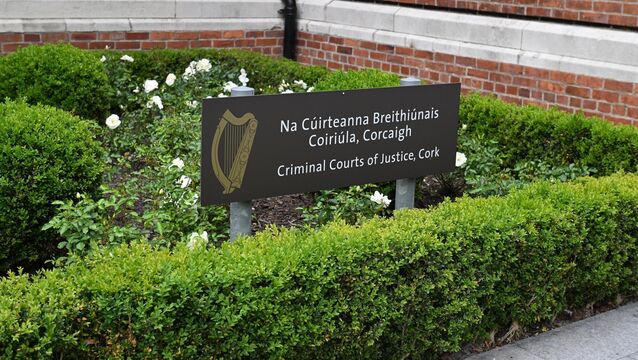 <p>Judge said: 'There is an absolute inevitability of a prison sentence here,' and remanded the defendant in custody until February 18. Picture: Dan Linehan</p>