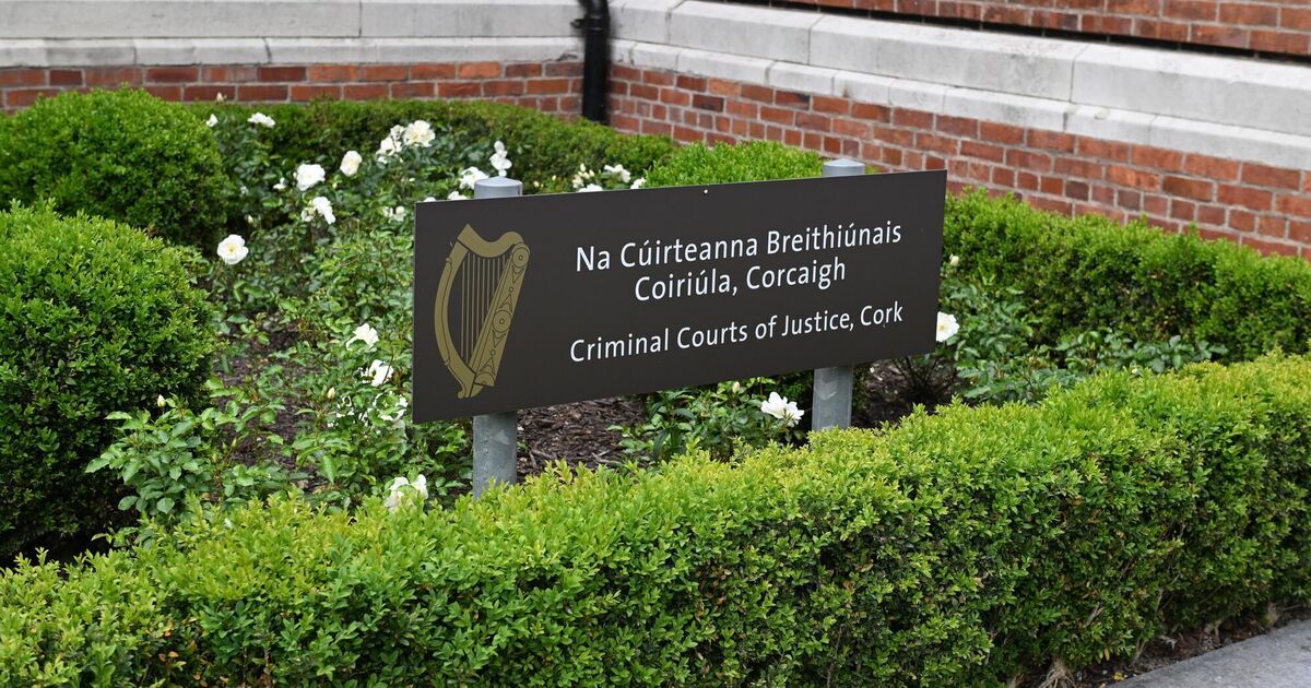 Cork woman left with metal plates in her jaw after violent assault by partner after night out