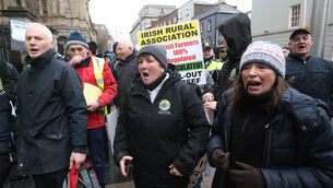 <p>Bord Bia chair Larry Murrin walks past protesting farmers outside Leinster House ahead of his appearance before the Oireachtas Agriculture Committee. Picture: Leah Farrell / © RollingNews.ie</p>
