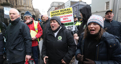 Pressure mounts as two councils call for Bord Bia chair to stand down