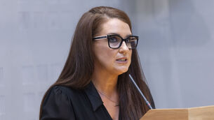 <p>Domestic abuse victim Margaret Loftus speaking in the AV room Leinster House on Wednesday. Picture: Sam Boal/Collins</p>