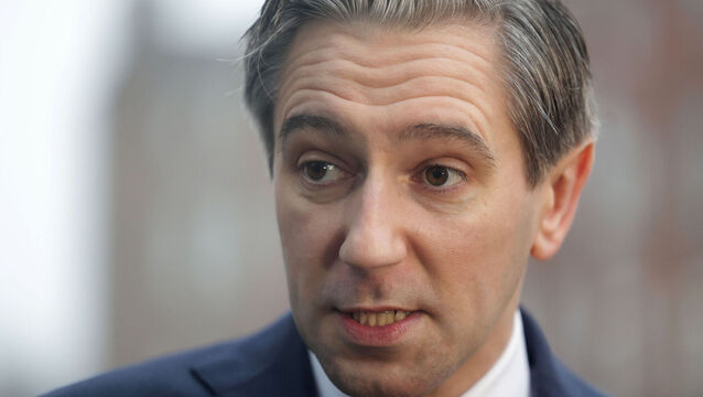 <p>Tánaiste Simon Harris said there are not enough opportunities for people to make their savings work. Picture: Leah Farrell</p>