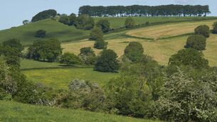 <p>A range of landscape actions within the ACRES schemes are designed to deal with issues such as invasive species, encroaching scrub management in species-rich grassland.</p>