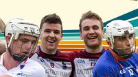 Fitzgibbon's finest: Picking a joint UL-Mary I team from a decade of dominance