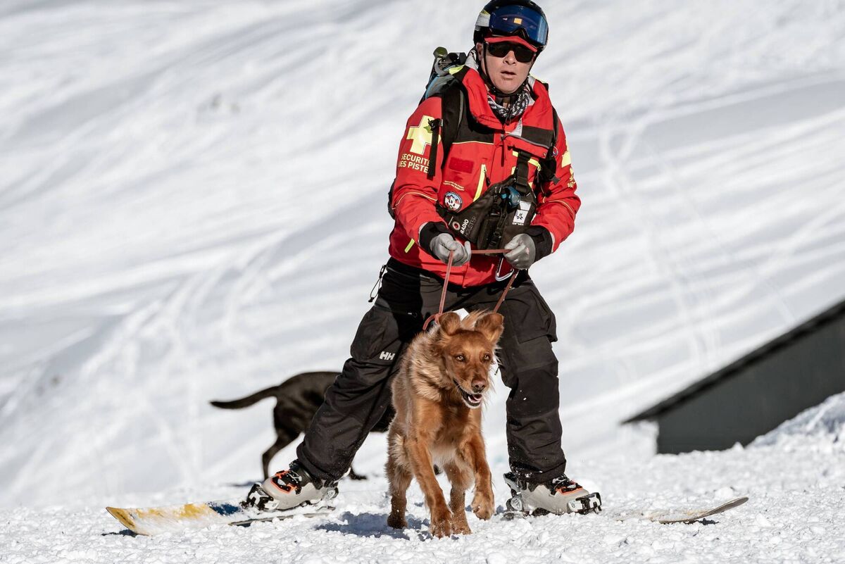Les Menuires employs 52 ski patrollers along with three avalanche rescue dogs. Picture: Olly Bowman