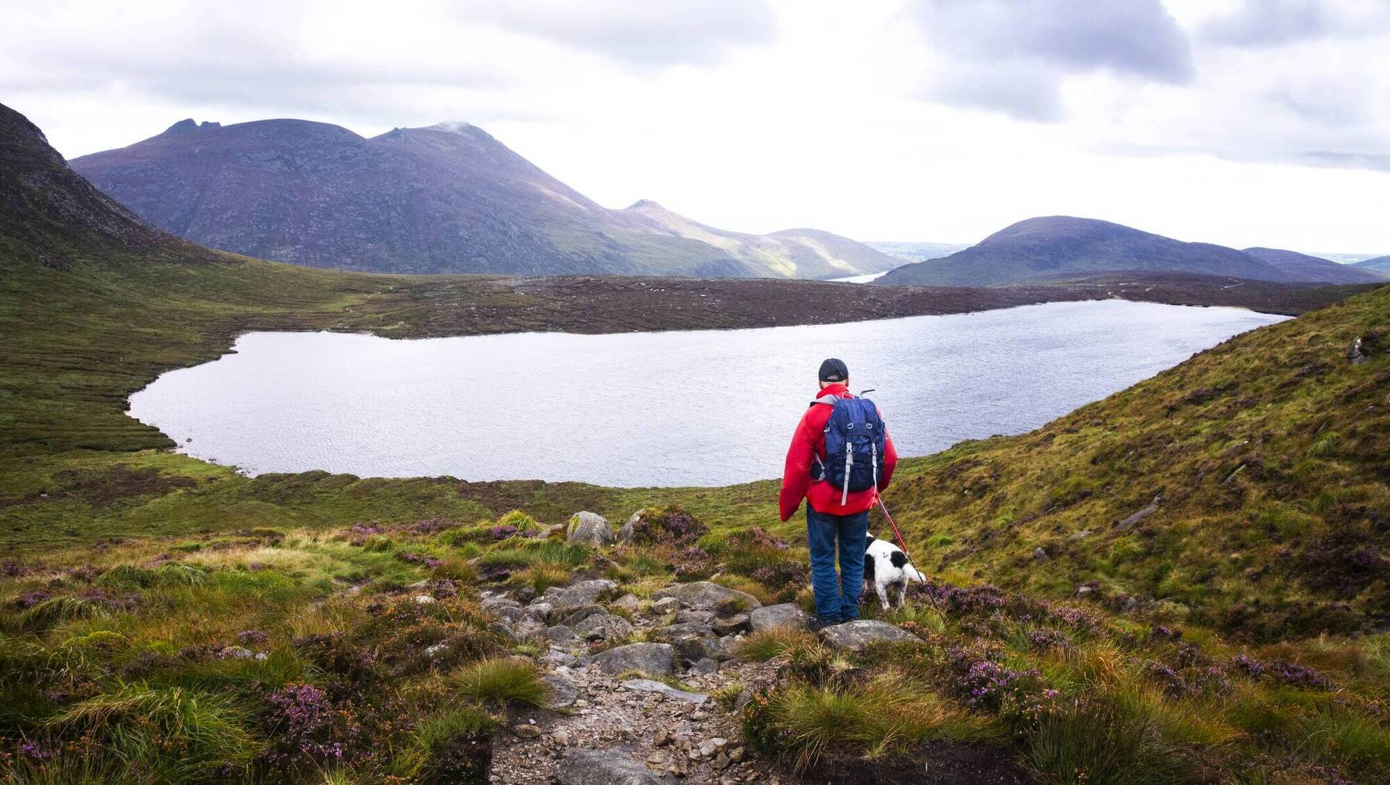 Why US entrepreneurs love the warm welcome of the Irish