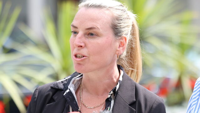 <p>Senator Lynn Ruane said she was very concerned at the “pulling back” of power to the State at the expense of the community. File picture: Stephen Collins/Collins</p>