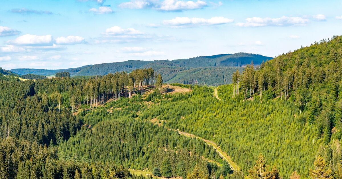 Letters to the Editor: Ecosystem degradation threatening civil society