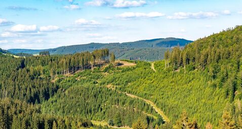 Spruce forests, landscape in Sauerland, Rothaargebirge, northwest, above the town of Bad Berleburg, NRW, Germany