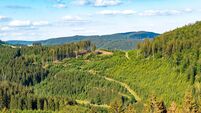 Spruce forests, landscape in Sauerland, Rothaargebirge, northwest, above the town of Bad Berleburg, NRW, Germany