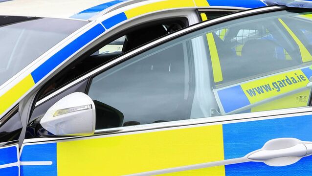 <p>The investigation is being overseen by Gardaí in Dublin as part of Operation Thor. File image</p>