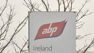 <p>ABP's abattoir will not be affected and the Waterford plant will continue to receive cattle. File picture</p>