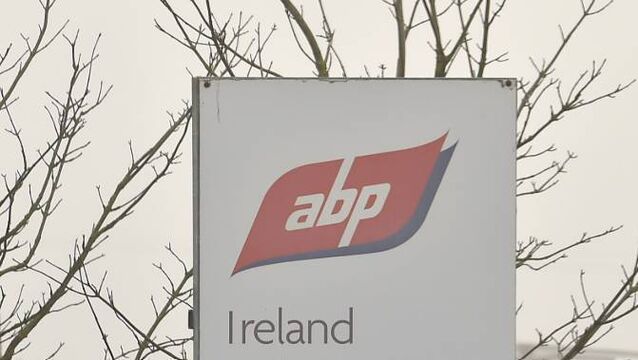 <p>ABP's abattoir will not be affected and the Waterford plant will continue to receive cattle. File picture</p>