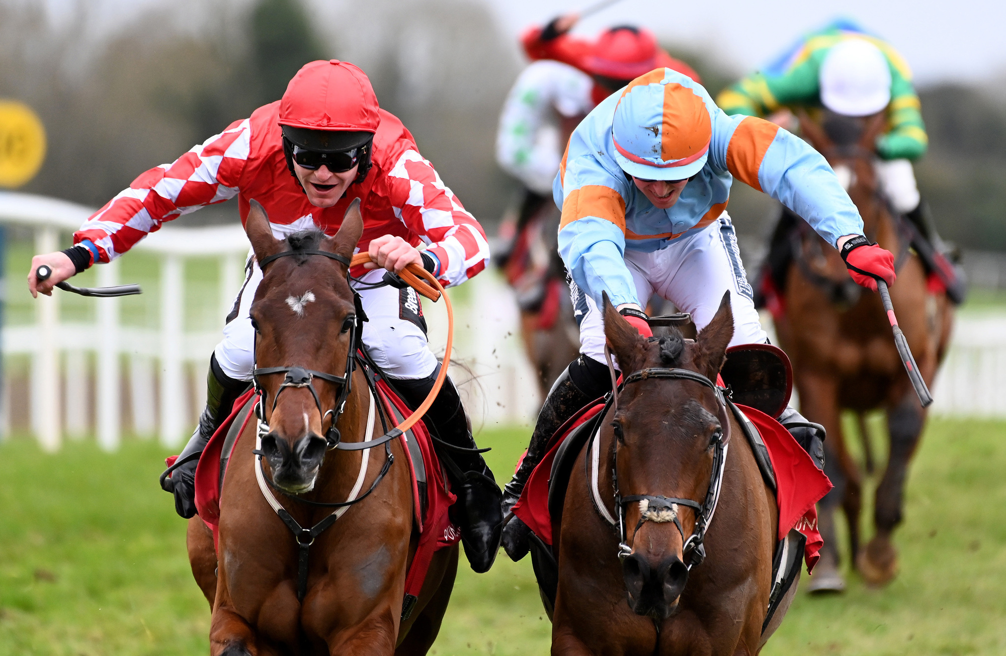 Weekend racing: Sa Fureur can edge Impaire Et Passe at Gowran
