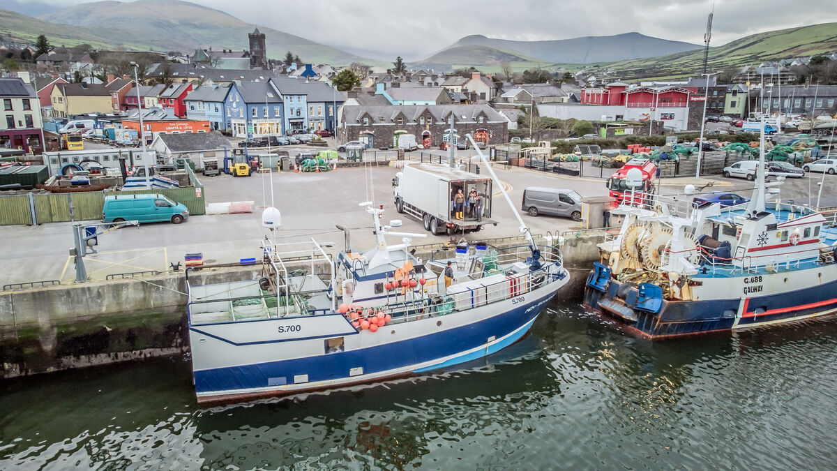 Demand for berths is high in Dingle where tourism activity now exceeds fishing. File picture: Neil Michael