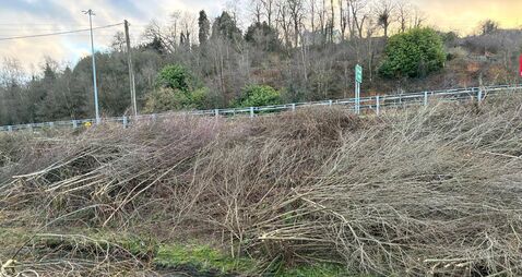 Residents in Cork's Blackpool fear they could be hit by flooding after culled trees left along riverbank
