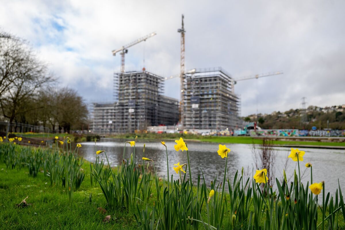 Marina Park with construction cranes and a major residential development rising in the background. Picture: Chani Anderson Marina Park with construction cranes and a major residential development rising in the background. Picture: Chani Anderson