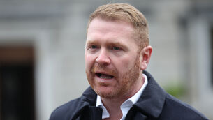 <p>Gary Gannon: 'On the 31st January I posted an image of a document on social media which I wrongly and mistakenly depicted as having been released with the Epstein files and as recording a meeting involving then Minister for Justice Alan Shatter.' File picture</p>