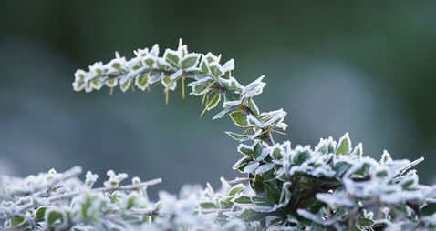 Winter weather Jan 15th 2024